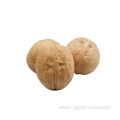 New Crop Walnut in shell for sale
